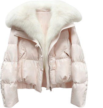 Down Jackets apparel style 03