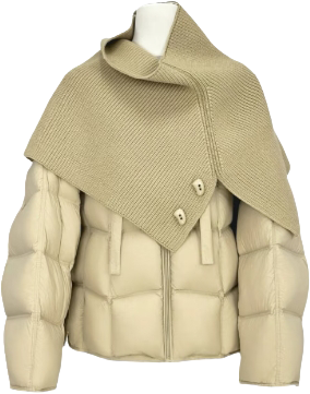 Down Jackets apparel style 05