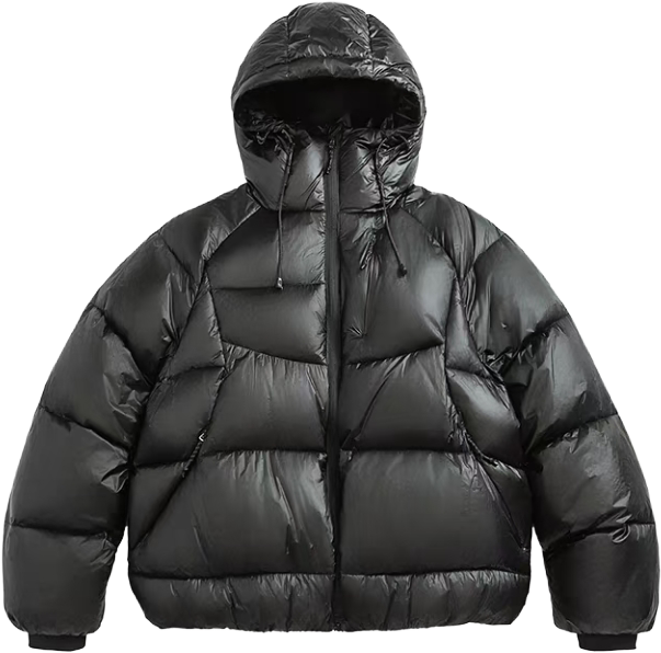 Down Jackets apparel style 08